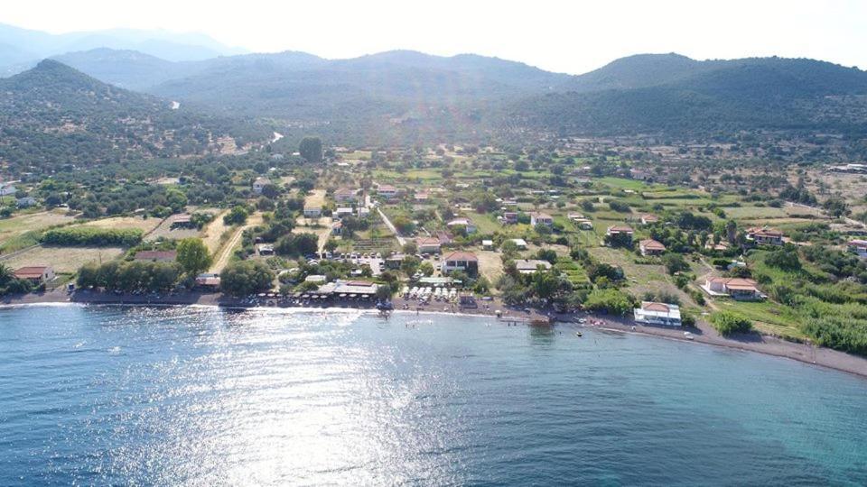 Armonia Houses Tsonia Luaran gambar